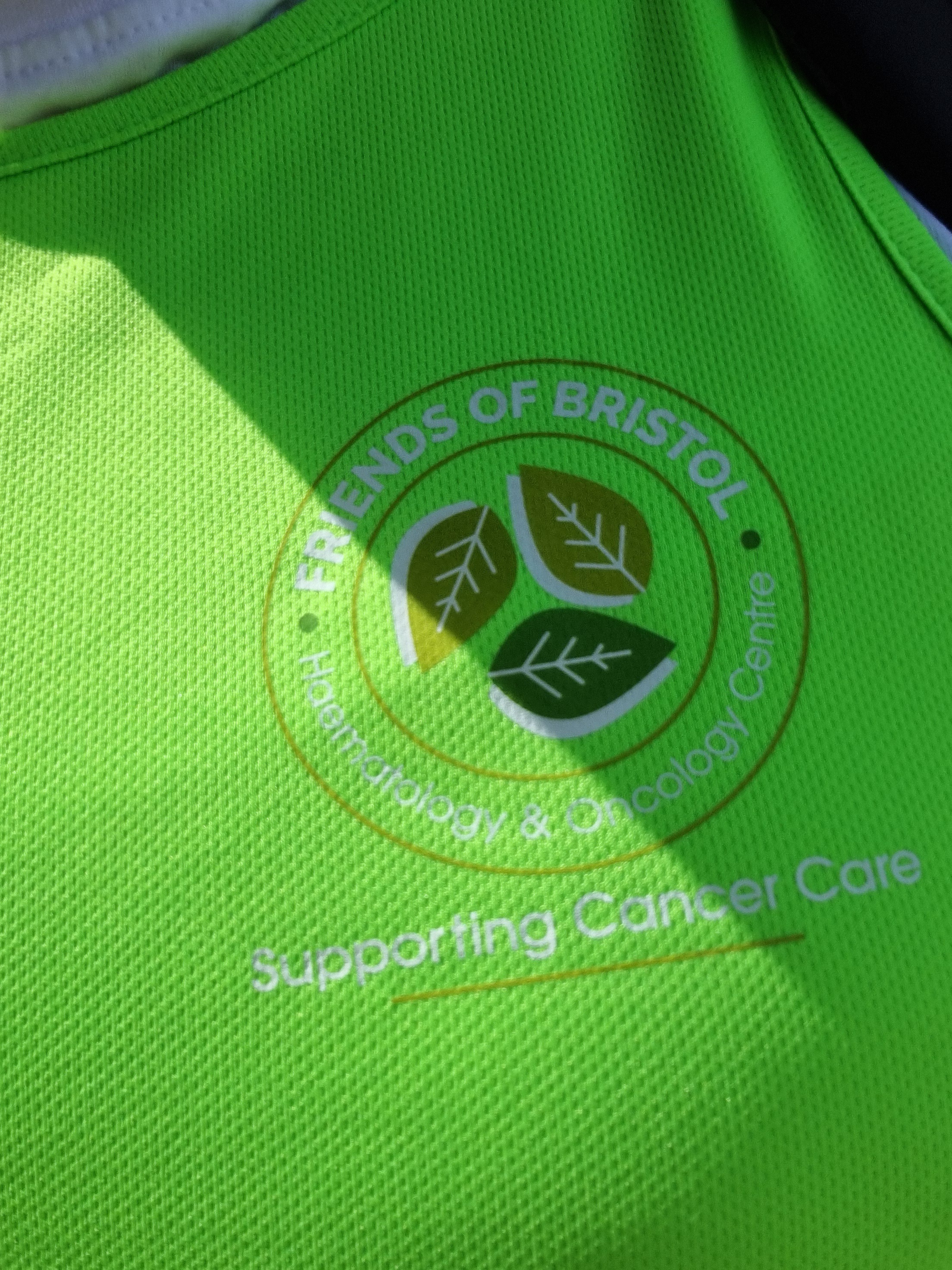 The Friends of BHOC logo